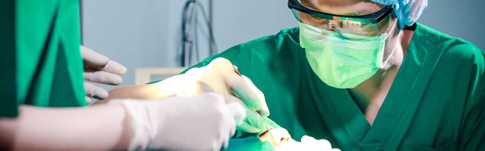 A Verona il congresso internazionale della EAFPS, European Society of Facial Plastic Surgery